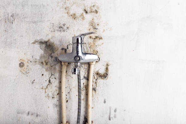 Mcdade, TX Mold Removal Company