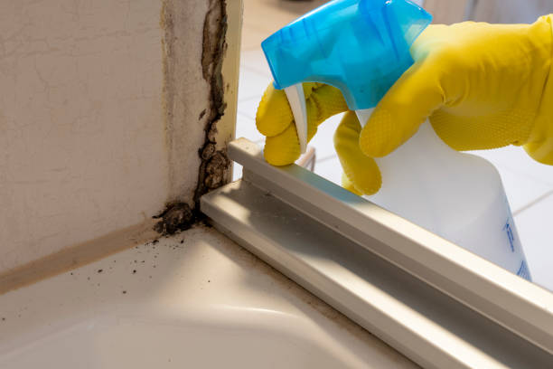 Best Home Mold Removal  in Mcdade, TX