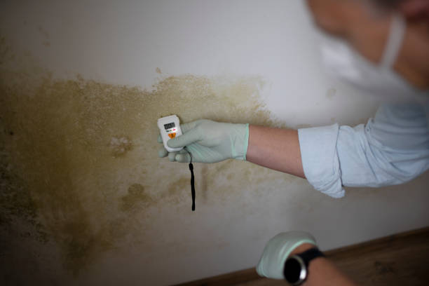 Best Crawl Space Mold Removal  in Mcdade, TX