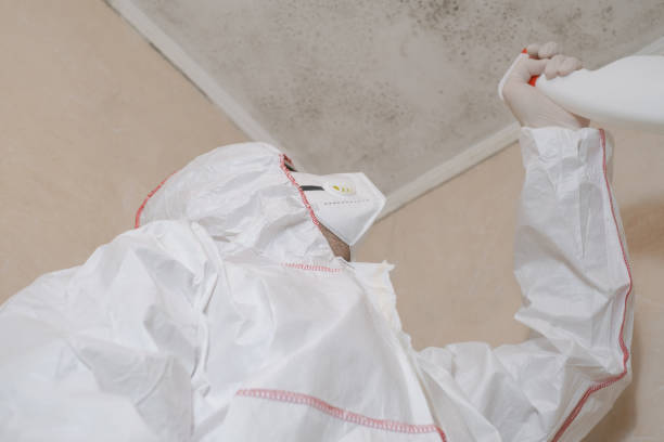 Best Residential Mold Removal  in Mcdade, TX